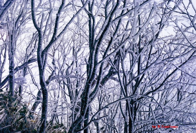 img0003.jpg