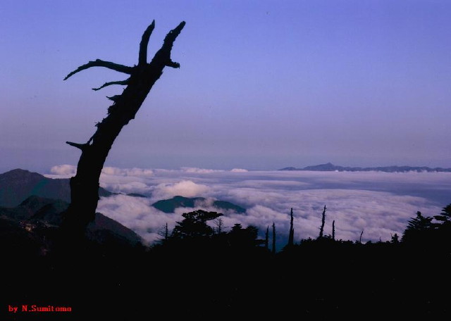 img0009.jpg