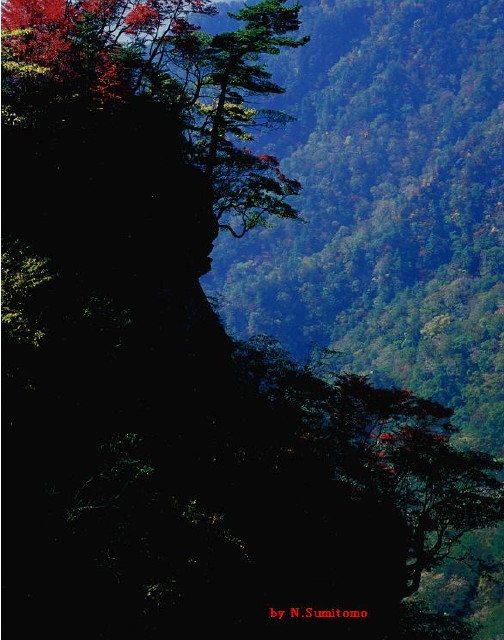 img0033.jpg